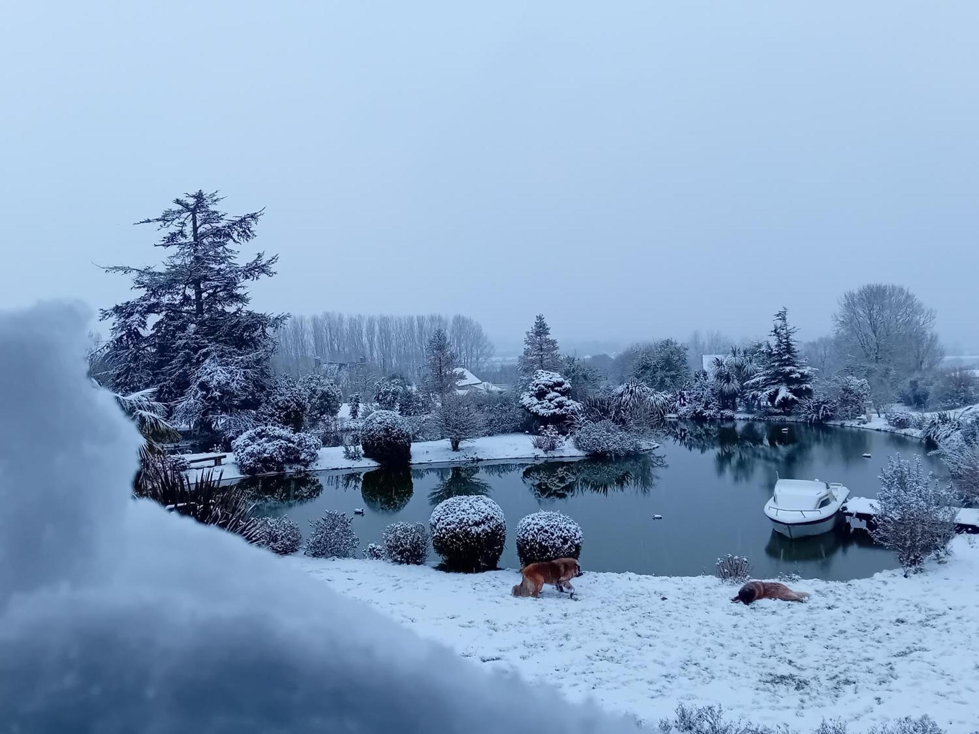 Domaine Du D-Day Bed and Breakfast Saint-Come-du-Mont Εξωτερικό φωτογραφία