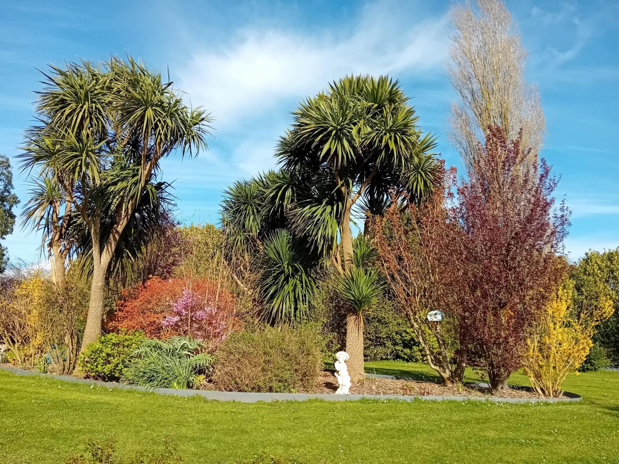 Domaine Du D-Day Bed and Breakfast Saint-Come-du-Mont Εξωτερικό φωτογραφία